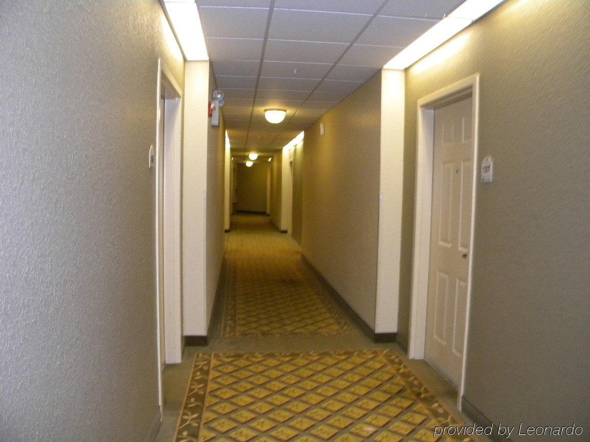 Sonesta Simply Suites Somerset Interior foto